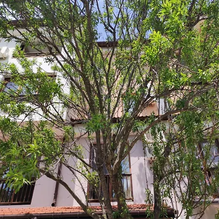 Harmony Hills Apartment Rogachevo